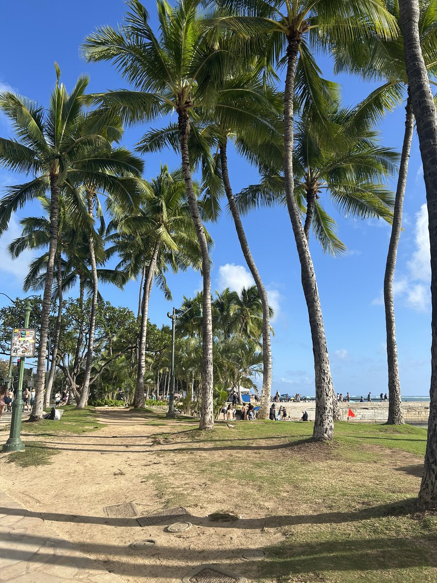 Lydia Smeltz, MD tweet media