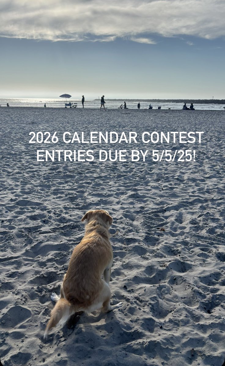 Don't forget to submit your pooping pooch photo to be entered into our 2026 calendar contest!
The deadline to enter is 5/5/2025. Email entries to info@poopingpooches.com.
#poopingpooches #calendar #prizes #2026