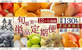 chacha_0380's tweet photo. #最近見つけた気になる広告バナーや動画
#fammスクール

 コンペ考えてたらフルーツの定期便なるサービスをみつけて色々あるなと発見！

フルーツって色が豊かだから、デザイン考えるのワクワクするし、色の組み合わせや配置が同色だらけになりがちで迷って難しいから練習しがいがあるなと🤔 https://t.co/Kolj7I5FsH
