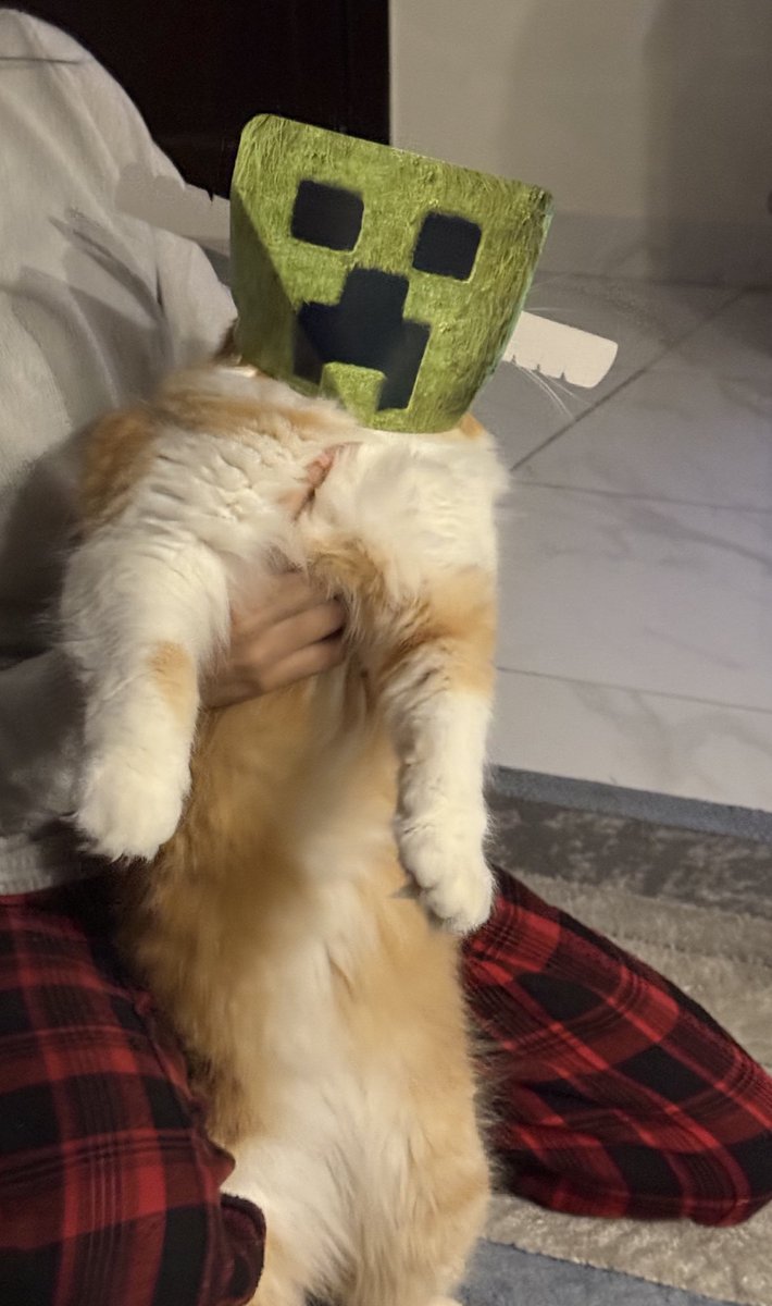 Cateeper