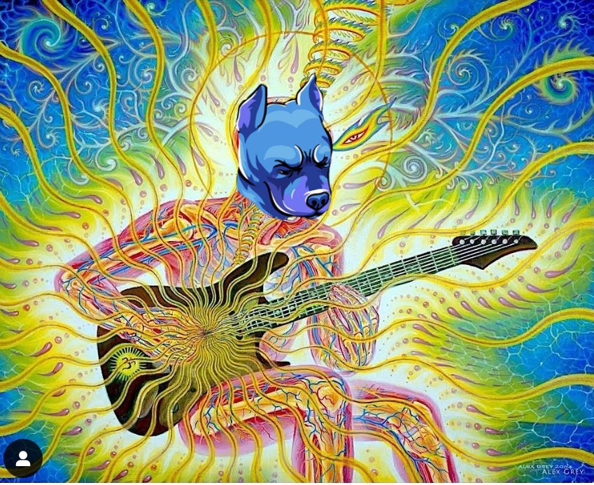 coolthehype tweet media