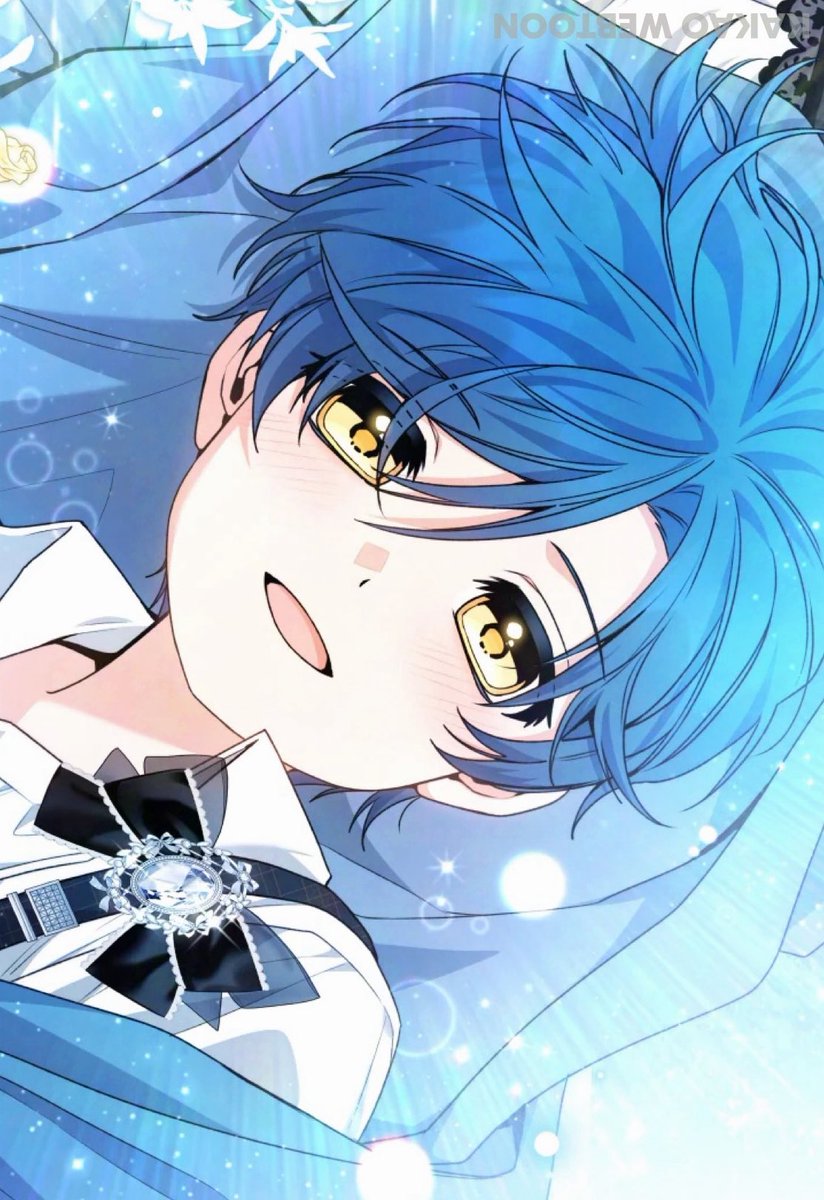 팀 제나 tweet media