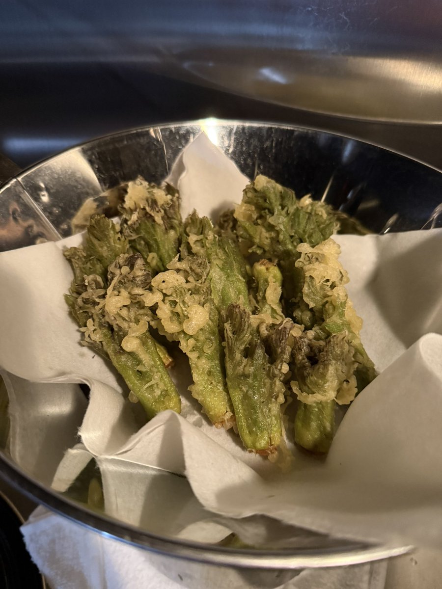 【お問い合わせページ】タラの芽　100g強【おまけで】こごみ　かんぞう　どれか♡ 楽天市場】ゼブラ PG-6C-C-K漫画用ペン先 Gペン No．G