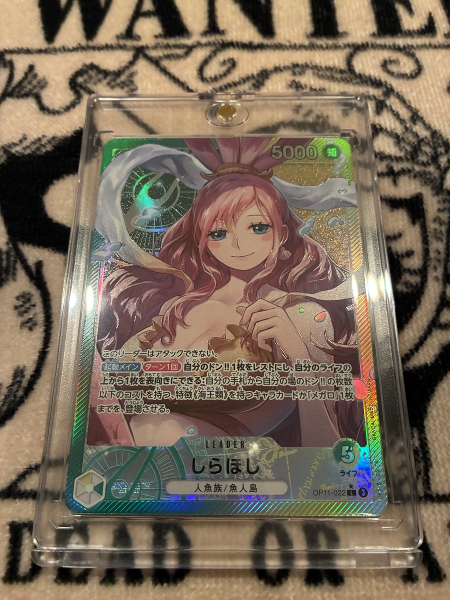 そういえば今日ずっと気になっていた
しらほしちゃんをついに！
お迎えしてしまった🥰

誰か最強構築教えてください🙂‍↕️笑