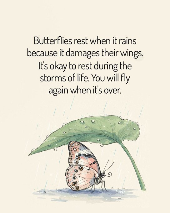 Hayatın fırtınalarında durup dinlenmen normaldir. Fırtına geçtiğinde,
Yine özgürce UÇ..🦋