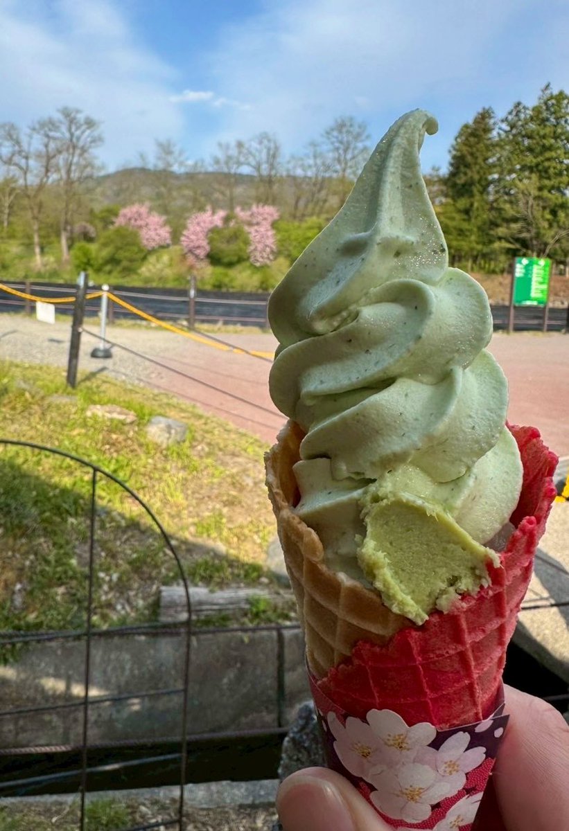 XsrRide's tweet photo. 大王わさび農園(わさびソフトプレミアム) https://t.co/BdkPdHUwra
