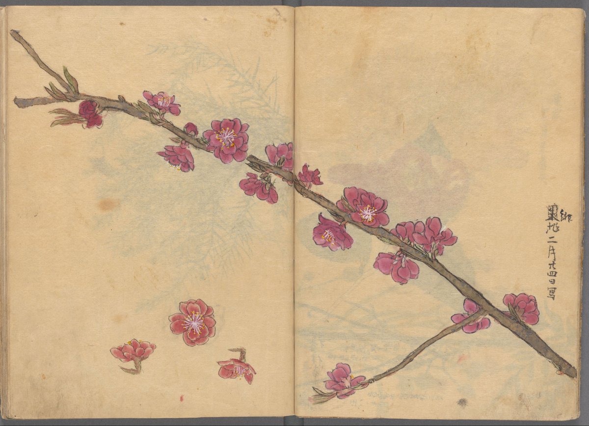 kondo, ariyoshi, active ca. 1826-1840