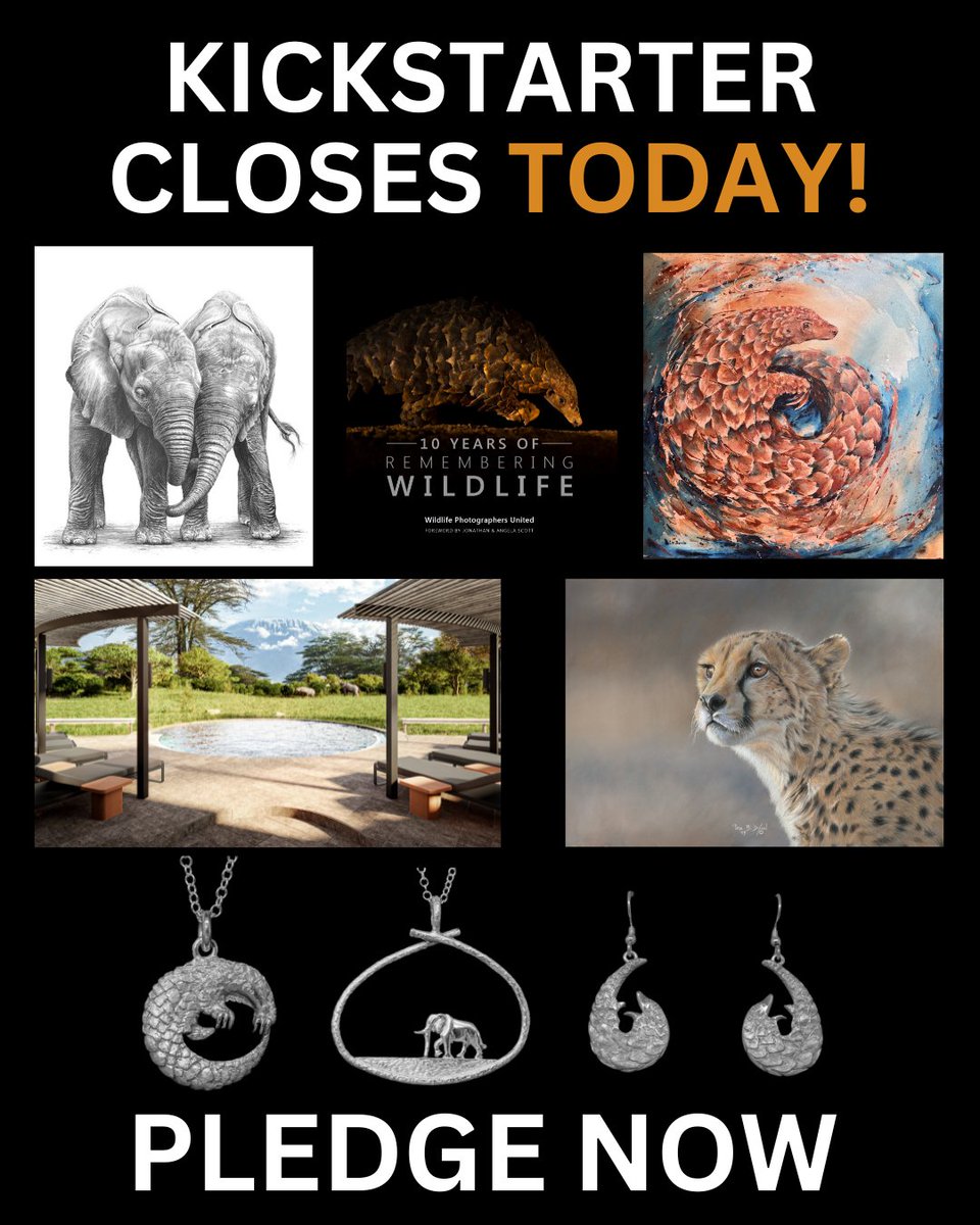 NOT LONG LEFT TO PLEDGE! Our Kickstarter for the new 10 Years of Remembering Wildlife book closes later today at 9pm BST/UK time. This is your LAST CHANCE TO pledge for bargain luxury safaris, jewellery, prints &amp; more before then here: kickstarter.com/projects/margo…