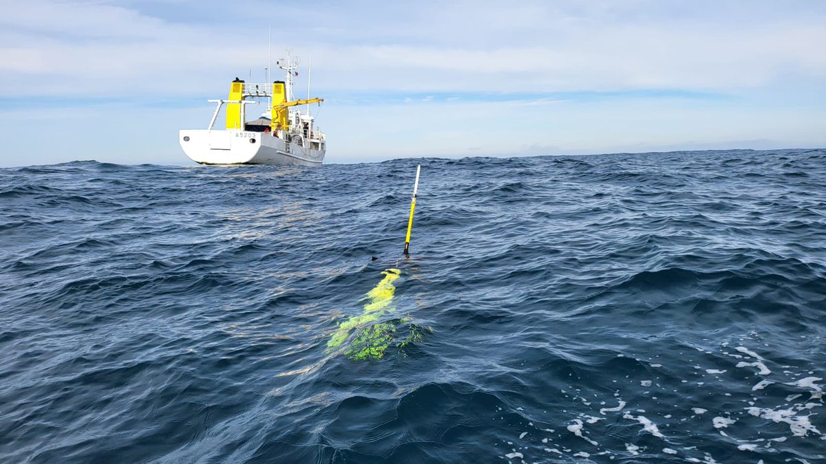 Carlos Barrera (@gliderplocan) on Twitter photo 