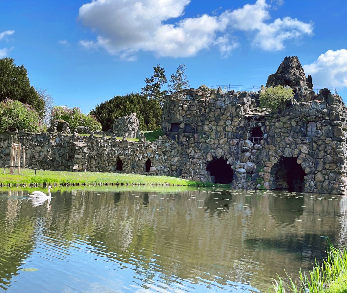 Carlo_on_air's tweet image. “Swan Lake” without Tchaikovsky, but the sun is shining. #nature #NaturePhotography