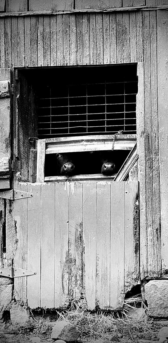 Hello world.. didn’t think we would leave so soon did you ?