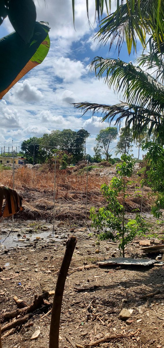 andspawn's tweet photo. @RDSomosPueblo @LucienneCarlo @luisabinader @AmbienteRD @ZOLFM1065 @ListinDiario @samy_cho 

UNA AREA VERDE DECLARADA DE DOMINIO PUBLICO  HA SALVADO VIDAS DE RESIDENTES CUANDO LAS TORMENTAS E INUNDACIONES ATACAN LA ZONA. Y COÑO LA ESTAN RELLANADO. DONDE DIABLOS VA A IR EL AGUA. https://t.co/jzQj03hK0M