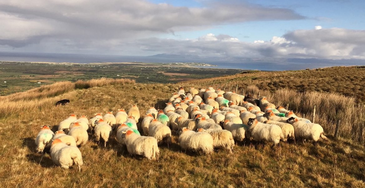 Anyone else wish we had lockdown weather??