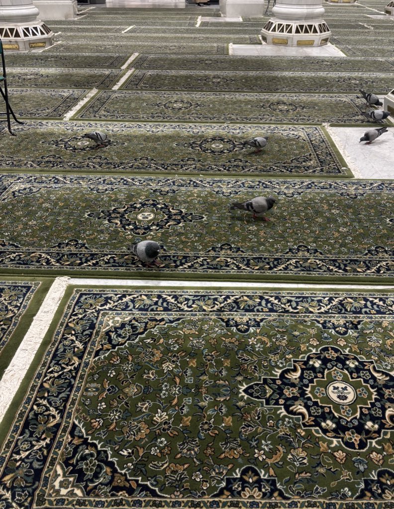 اللهم صلّ على محمد، وعلى آل محمد، كما صليت على إبراهيم، وعلى آل إبراهيم، إنك حميد مجيد، اللهم بارك على محمد، وعلى آل محمد، كما باركت على إبراهيم، وعلى آل إبراهيم، إنك حميد مجيد.