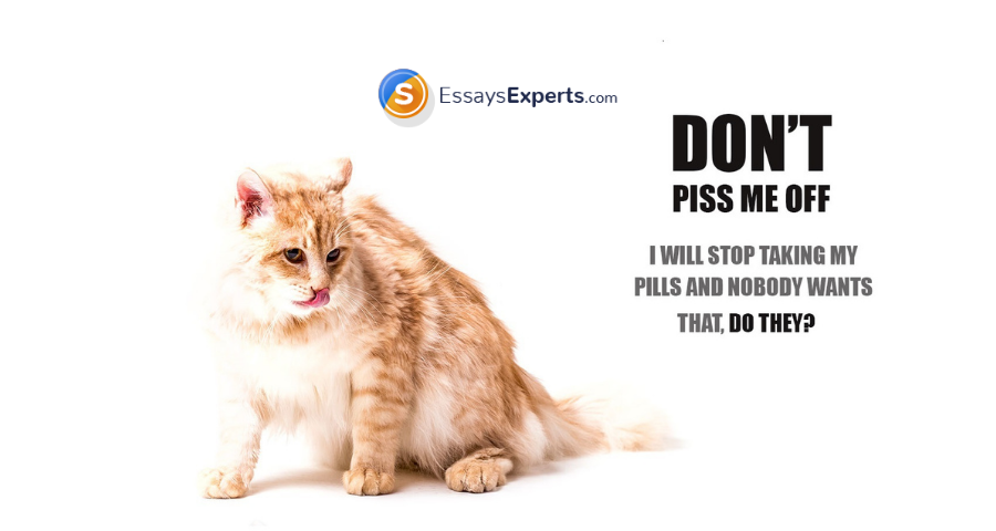 EssaysExperts tweet picture