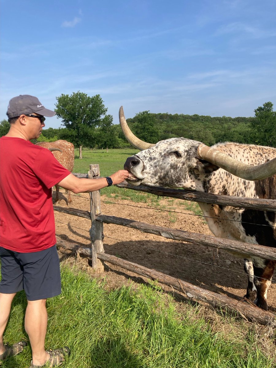 Albert Koong, MD PhD (@ackoongmdphd) on Twitter photo Feedin the #longhorns! <a href="/MDAndersonNews/">MD Anderson Cancer Center</a> Polo on the Prairie fundraiser to #endcancer. Feedin the #longhorns! <a href="/MDAndersonNews/">MD Anderson Cancer Center</a> Polo on the Prairie fundraiser to #endcancer.