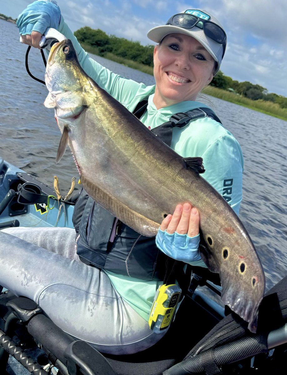 _EKFT's tweet image. Congrats to the 2025 Exotic Bass Roundup winners!
—
🥇 Domian Weber (9.52lbs) — $2,000 @nauticalventures+ #peacockbass Trophy
🥈 Brad Leitch (7.12lbs) — $1,000 NV+ Clown Knifefish Trophy @PowercoreR 
Full winnings on website 
—
#ExoticBassRoundup #FishingTournament #BassFishing