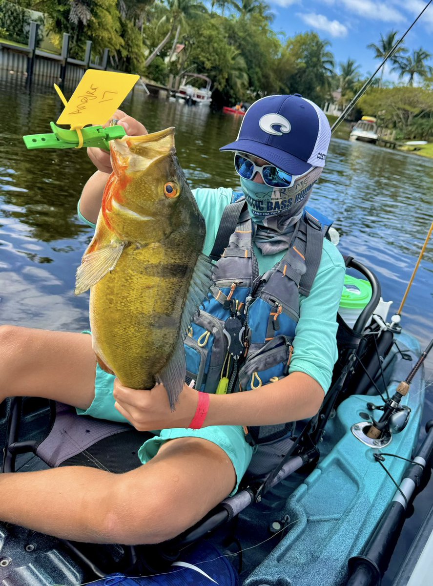 _EKFT's tweet image. Congrats to the 2025 Exotic Bass Roundup winners!
—
🥇 Domian Weber (9.52lbs) — $2,000 @nauticalventures+ #peacockbass Trophy
🥈 Brad Leitch (7.12lbs) — $1,000 NV+ Clown Knifefish Trophy @PowercoreR 
Full winnings on website 
—
#ExoticBassRoundup #FishingTournament #BassFishing