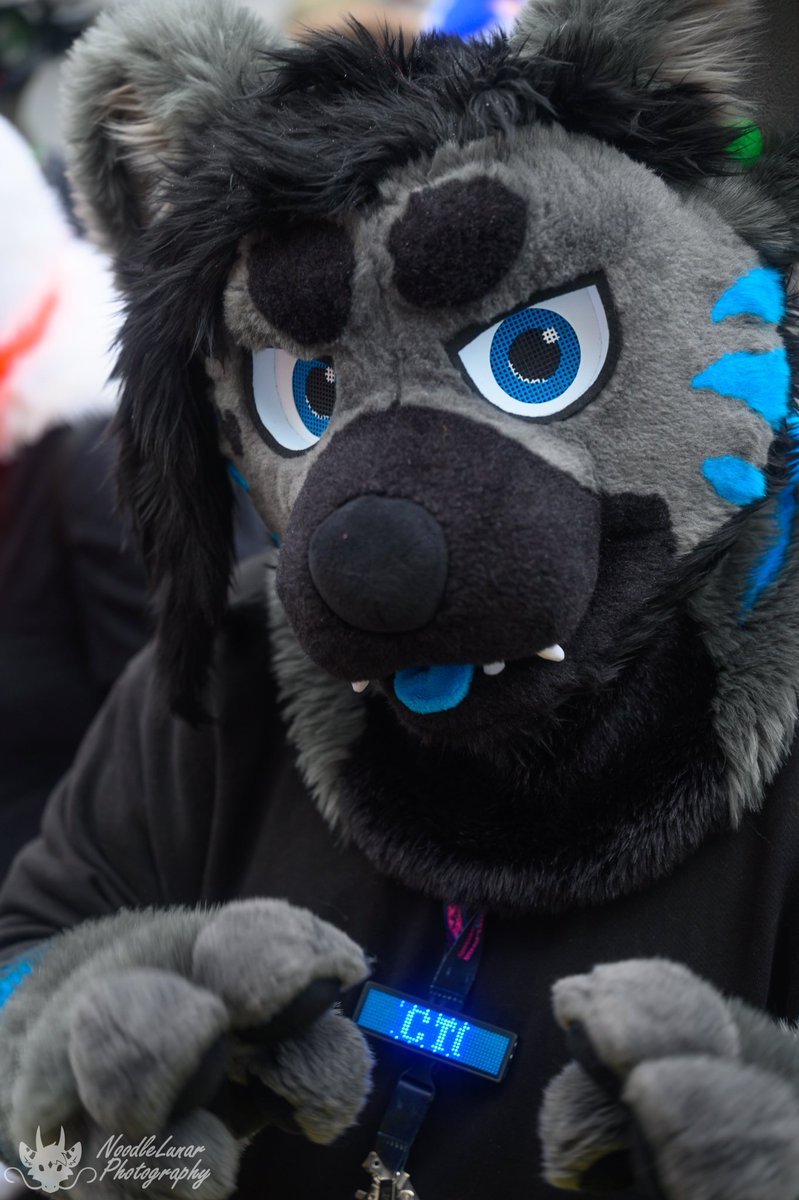 Happy hyena day! 
📷: <a href="/NoodleLunar/">Lunar</a>