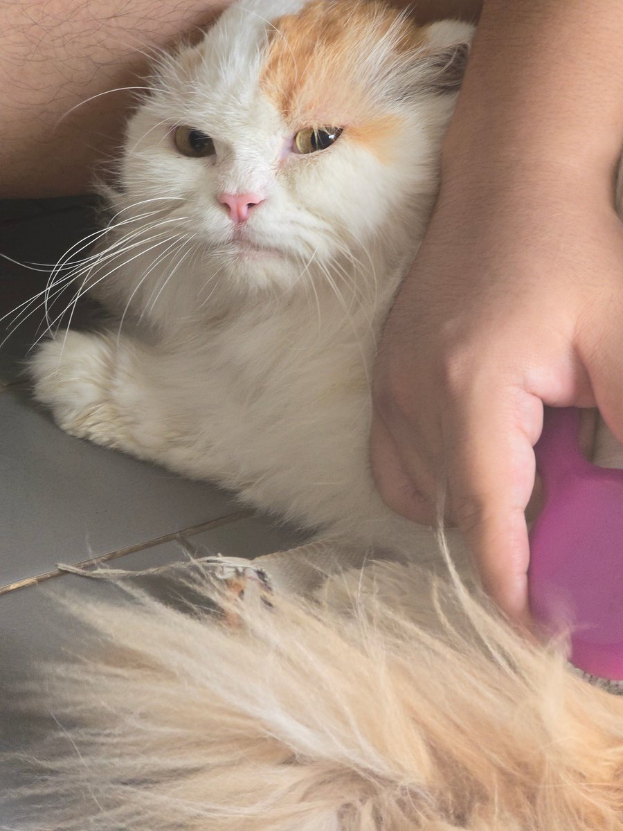 cikukucing's tweet photo. Kamu cantik banget https://t.co/yS73w8T3Z1