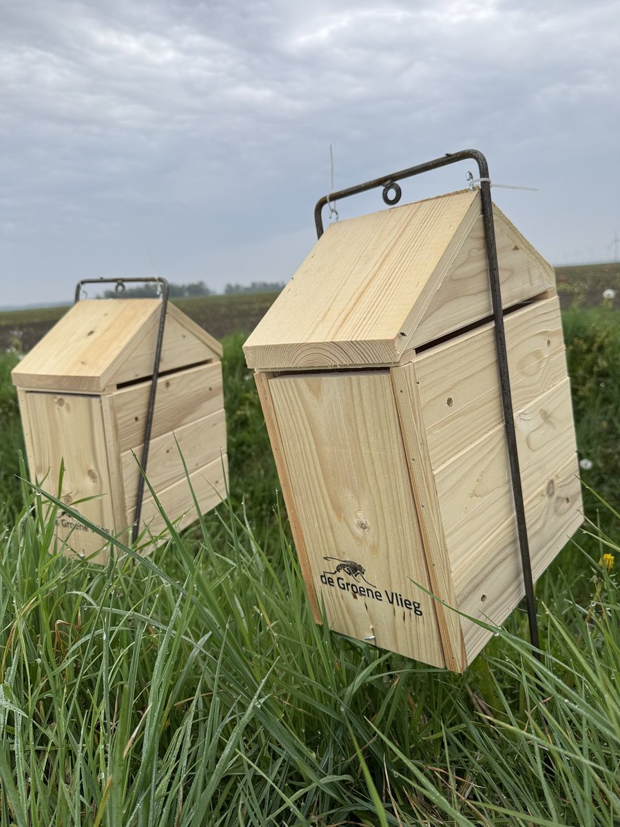 harrysfarm's tweet image. Als men in Flevoland rond rijd en deze mooi in elkaar getimmerde huisjes langs een uien #akker ziet staan, zie link waarom harrysfarm.nl/2025/04/25/mon…