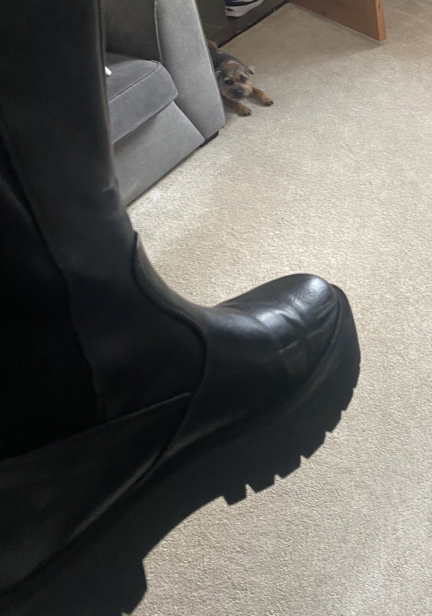 willowborder's tweet image. If I hide does it mean I’m guilty 😈