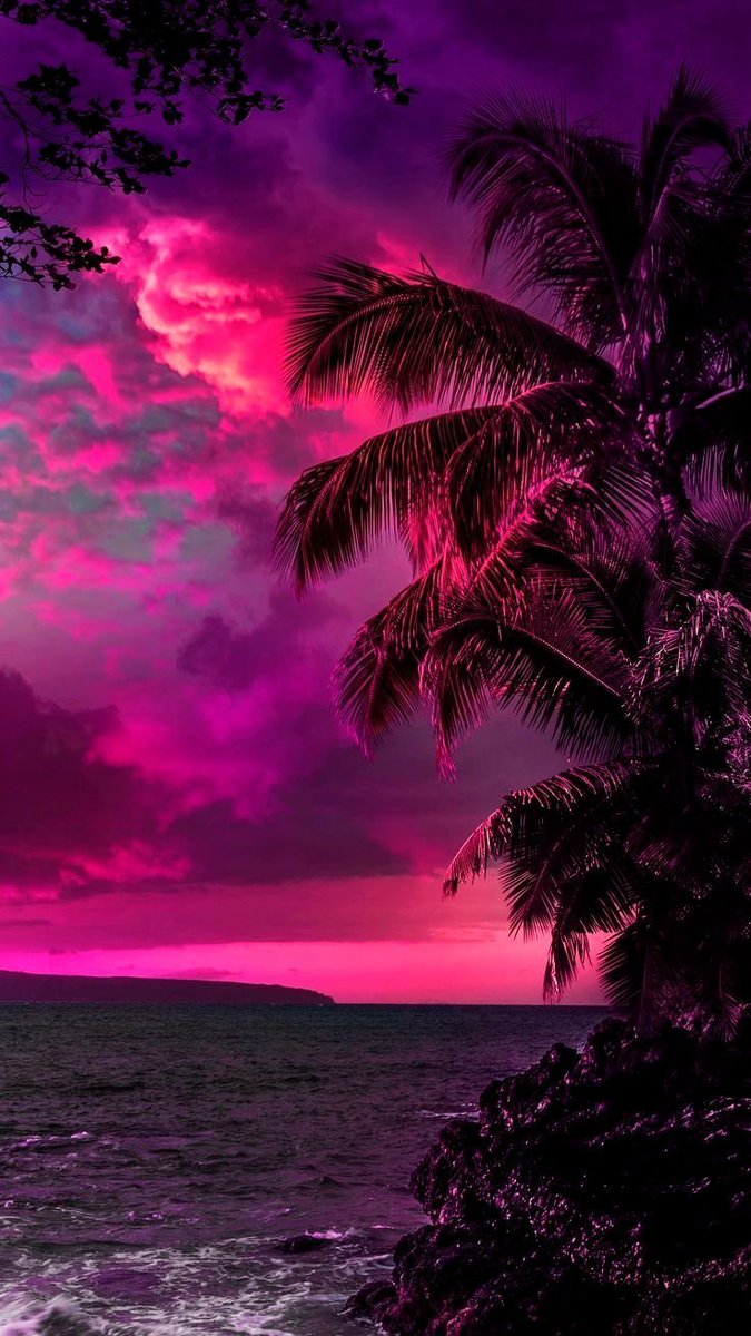 aestheticspost_'s tweet image. 