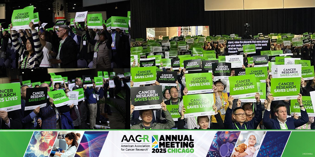 AACR (@aacr) on Twitter photo "It is critically important that we raise our voices in support of innovative cancer science and medicine." <a href="/AACRPres/">AACR President Lillian L. Siu</a> Patricia M. LoRusso, DO, PhD (hc), FAACR, calls on the #AACR25 delegates to stand together and call on Congress to make cancer research a national priority. "It is critically important that we raise our voices in support of innovative cancer science and medicine." <a href="/AACRPres/">AACR President Lillian L. Siu</a> Patricia M. LoRusso, DO, PhD (hc), FAACR, calls on the #AACR25 delegates to stand together and call on Congress to make cancer research a national priority.