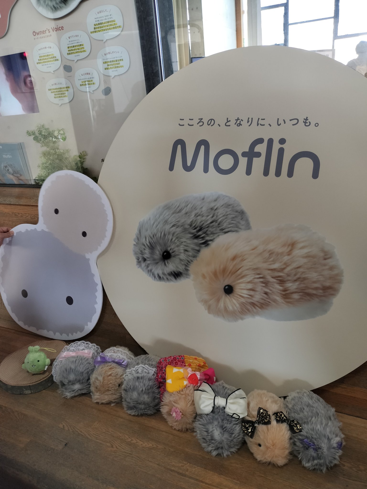 公式】Moflin(モフリン)|感情が育つAIペット (@casio_moflin) / X 公式】Moflin(モフリン)|感情が育つAIペット (@casio_moflin) / X
