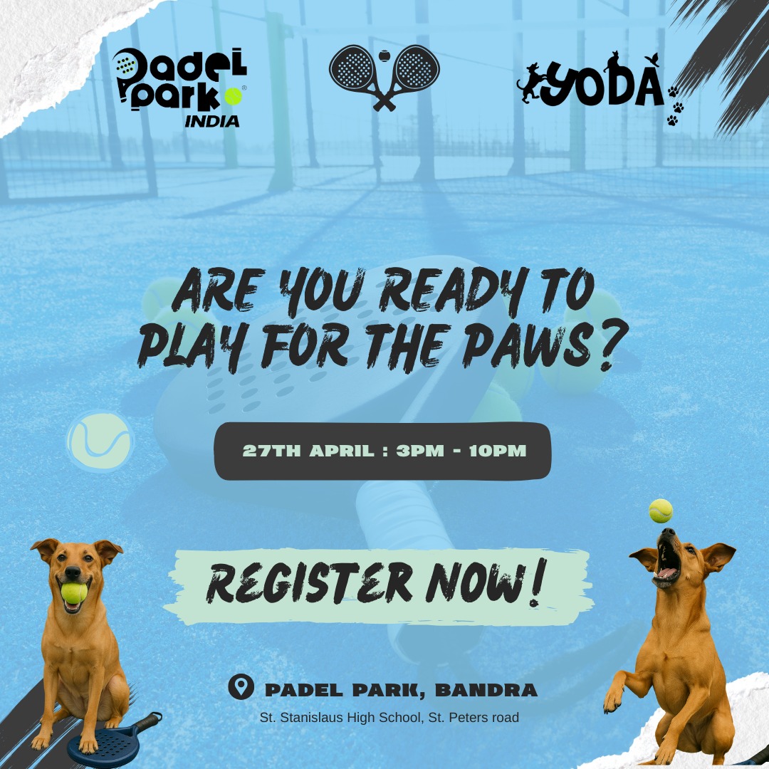 arijitbarman76's tweet image. A Sunday well spent. Of sweat, smashes, sniffs &amp;amp; snuggles. #pedal @yodamumbai @PriyaAH_Vedanta