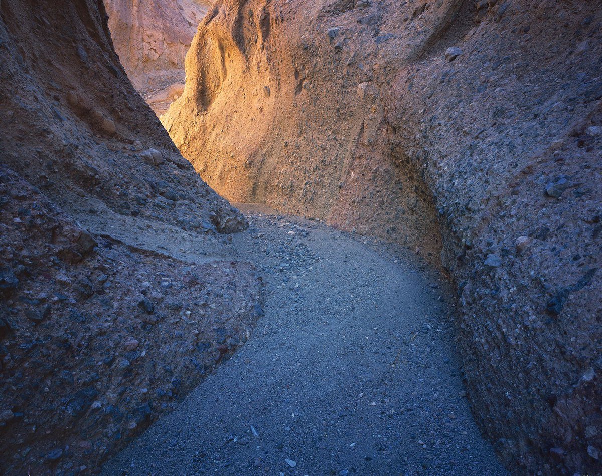 Ben Horne tweet media