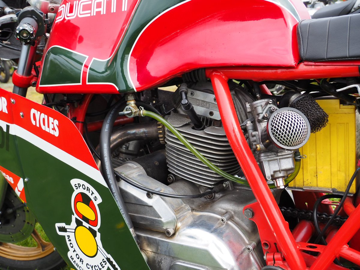 Gino Rondelli tweet media