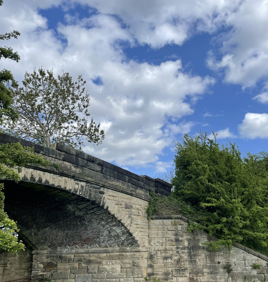 SimonHodgsonLCC's tweet photo. #Yorkshire #Leeds #Thorner a beautiful #SundayStroll💜 https://t.co/uSspfUKgeK