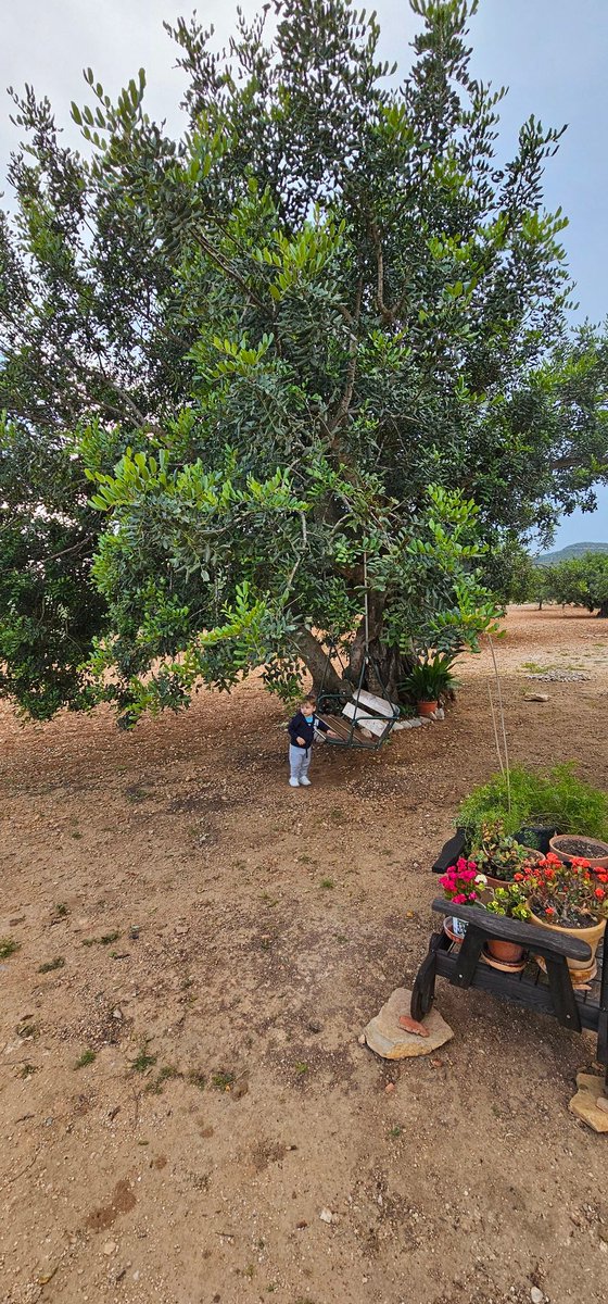 Consejero Viajero tweet media