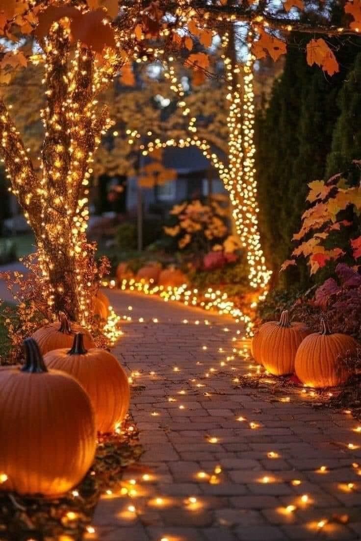 NosCalanGaeaf's tweet photo. 175 days until Halloween 2025!
Are you ready?
🎃🍂🎃🍂🎃🍂🎃🍂🎃
#Halloween https://t.co/sNkiBstdHS
