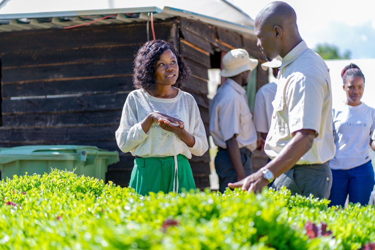 myvitagrow's tweet photo. At Vitagrow Urban Farms, we’re more than just a farm – we’re a community of passionate individuals committed to sustainable farming, innovation, and empowering local youth, women, and families. Together, we grow stronger. 🌱✨ #SustainableFarming #urbanagriculture #myvitagrowzim https://t.co/1fHwR6tcuc
