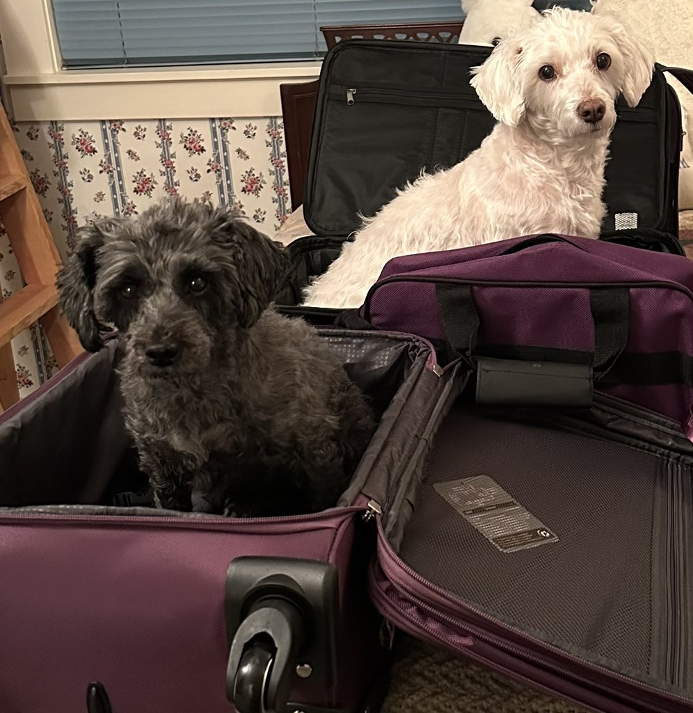 WhidbeyGypsy's tweet image. Yesterday’s trip prep was making a list of things to pack! Mom left us off the list, so we packed ourselves! 

#SoExcited
#OlympicPeninsula
#OlympicNationalPark

We will drive right through the setting for the Twilight book series! Vampires and werewolves, oh my!!

❤️Zip &amp;amp; Zoë