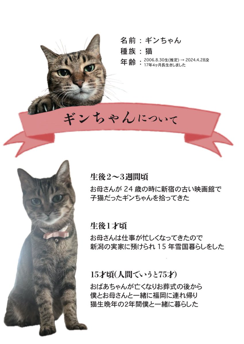 ginchan794's tweet photo. 息子の自学ノート https://t.co/X6JlP3QWzK