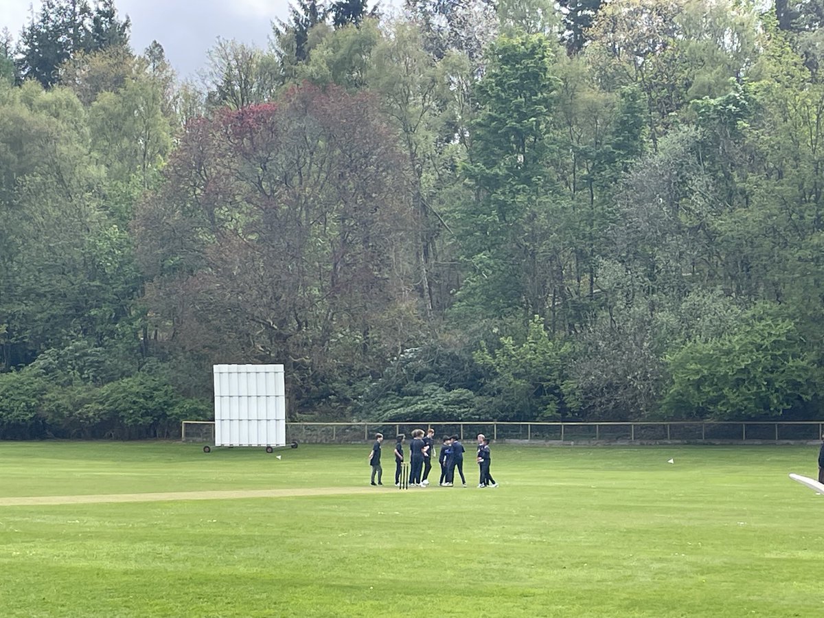 Allison Hewitt tweet media