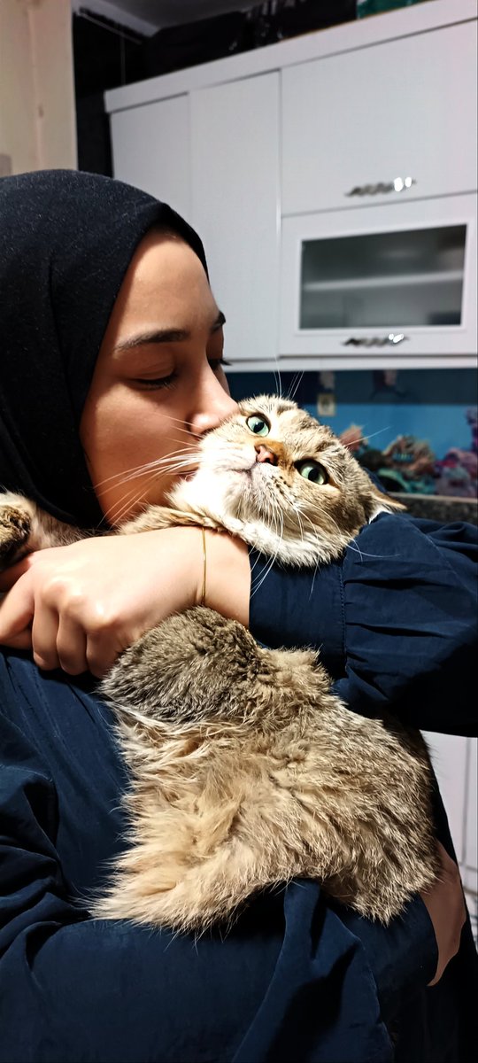 Miyavsın diye mutlusun sanıyorlar.😻