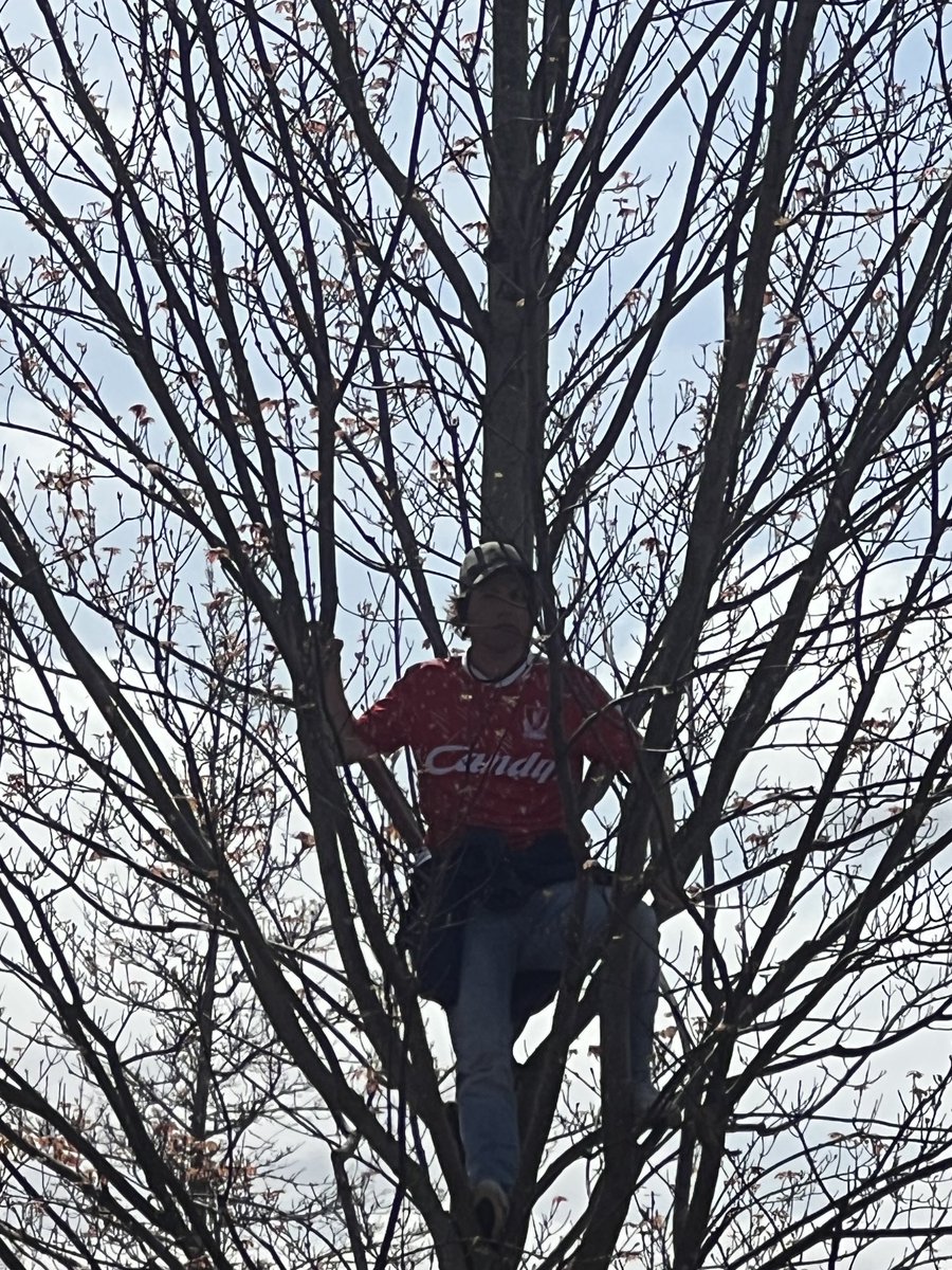 Best seat in the house