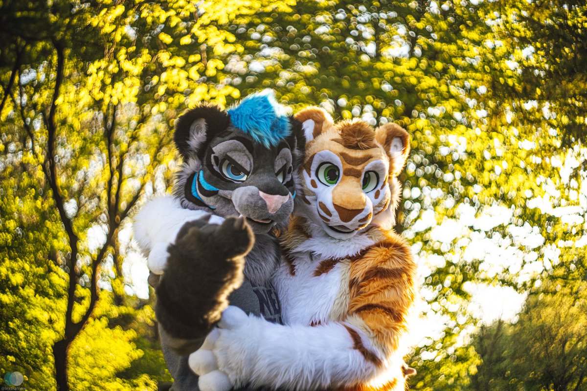 what do you think? who is the nice and who is bad guy? 

📸 <a href="/lextramow/">Lexi McSwirl</a>