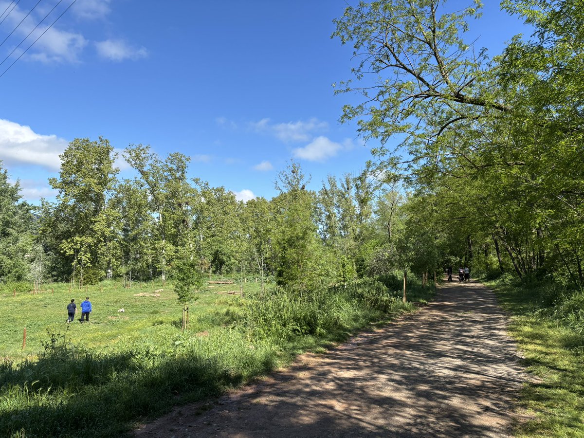 Marc Aloy Guàrdia 🎗 tweet media