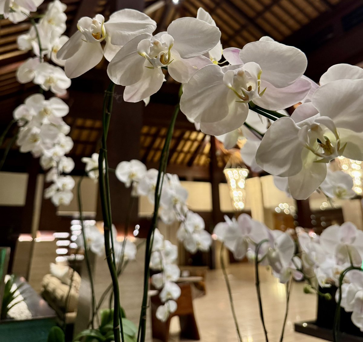 editsc's tweet image. 