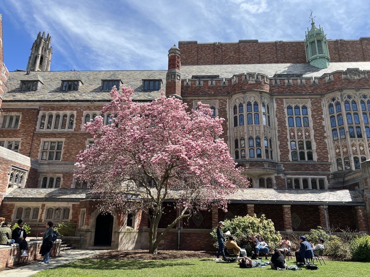 YaleLawSch's tweet photo. Springtime has arrived at Yale Law School. 🌸 

Take a virtual tour: https://t.co/t8iIy2LnUz. https://t.co/mpSt9aU8bO