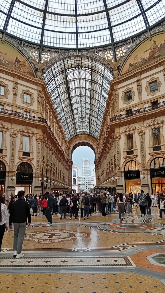 Daniel Galindo tweet media