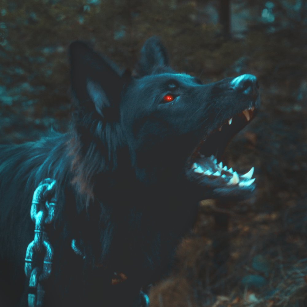 INFINITAS tweet media