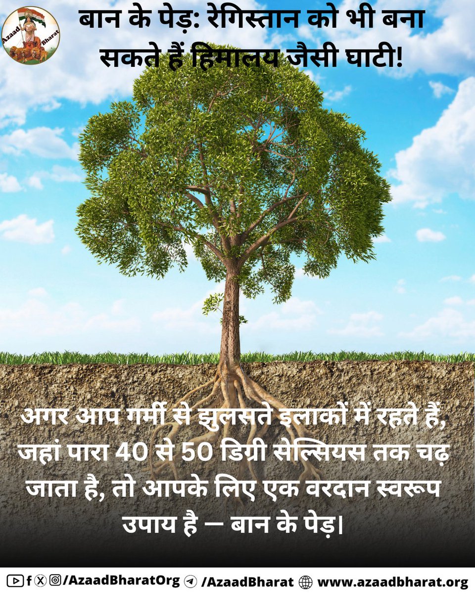 AzaadBharat Official (@azaadbharatorg) on Twitter photo рдмрд╛рди рдХреЗ рдкреЗрдбрд╝ рд░реЗрдЧрд┐рд╕реНрддрд╛рди рдХреЛ рднреА рдмрдирд╛ рд╕рдХрддреЗ рд╣реИрдВ рд╣рд┐рдорд╛рд▓рдп рдЬреИрд╕реА рдШрд╛рдЯреА! рдЕрдЧрд░ рдЖрдк рдЧрд░реНрдореА рд╕реЗ рдЭреБрд▓рд╕рддреЗ рдЗрд▓рд╛рдХреЛрдВ рдореЗрдВ рд░рд╣рддреЗ рд╣реИрдВ, рдЬрд╣рд╛рдВ рдкрд╛рд░рд╛ 40 рд╕реЗ 50 рдбрд┐рдЧреНрд░реА рд╕реЗрд▓реНрд╕рд┐рдпрд╕ рддрдХ рдЪрдврд╝ рдЬрд╛рддрд╛ рд╣реИ, рддреЛ рдмрд╛рди рдХреЗ рдкреЗрдбрд╝ рдЖрдкрдХреЗ рд▓рд┐рдП рдПрдХ рд╡рд░рджрд╛рди рд╕рд╛рдмрд┐рдд рд╣реЛрдЧреЗ ред
рдкреВрд░реА рдкреЛрд╕реНрдЯ рдкрдврд╝реЗ ЁЯСЙЁЯП╗azaadbharat.org/?p=11880 рдмрд╛рди рдХреЗ рдкреЗрдбрд╝ рд░реЗрдЧрд┐рд╕реНрддрд╛рди рдХреЛ рднреА рдмрдирд╛ рд╕рдХрддреЗ рд╣реИрдВ рд╣рд┐рдорд╛рд▓рдп рдЬреИрд╕реА рдШрд╛рдЯреА! рдЕрдЧрд░ рдЖрдк рдЧрд░реНрдореА рд╕реЗ рдЭреБрд▓рд╕рддреЗ рдЗрд▓рд╛рдХреЛрдВ рдореЗрдВ рд░рд╣рддреЗ рд╣реИрдВ, рдЬрд╣рд╛рдВ рдкрд╛рд░рд╛ 40 рд╕реЗ 50 рдбрд┐рдЧреНрд░реА рд╕реЗрд▓реНрд╕рд┐рдпрд╕ рддрдХ рдЪрдврд╝ рдЬрд╛рддрд╛ рд╣реИ, рддреЛ рдмрд╛рди рдХреЗ рдкреЗрдбрд╝ рдЖрдкрдХреЗ рд▓рд┐рдП рдПрдХ рд╡рд░рджрд╛рди рд╕рд╛рдмрд┐рдд рд╣реЛрдЧреЗ ред
рдкреВрд░реА рдкреЛрд╕реНрдЯ рдкрдврд╝реЗ ЁЯСЙЁЯП╗azaadbharat.org/?p=11880