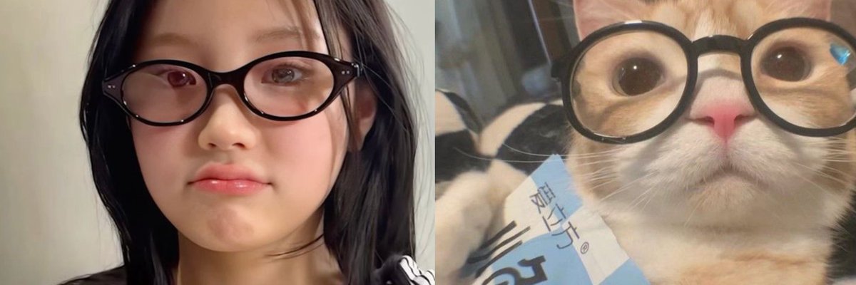 kittywonhee's tweet image. 
