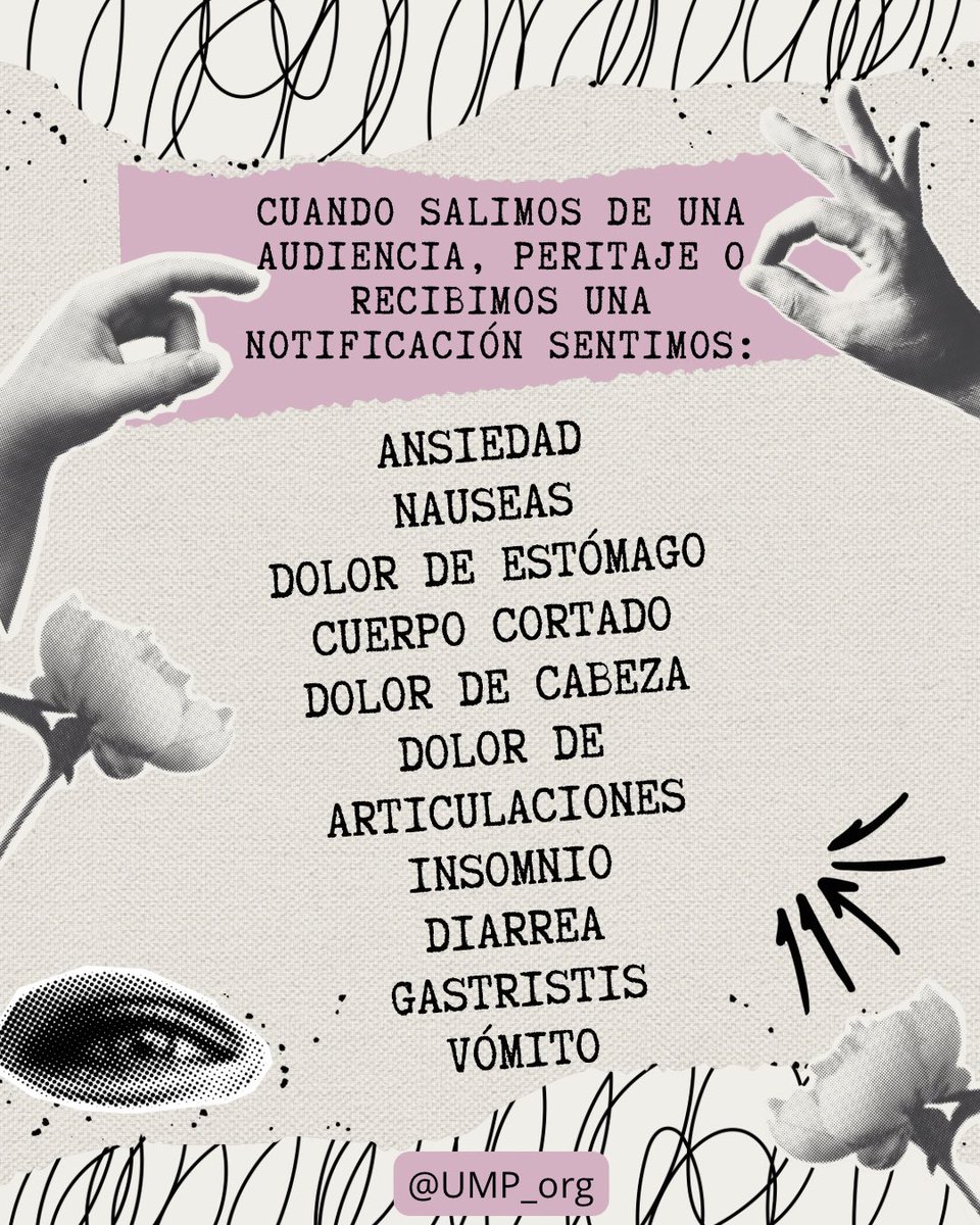 Unión De Madres Protectoras tweet media